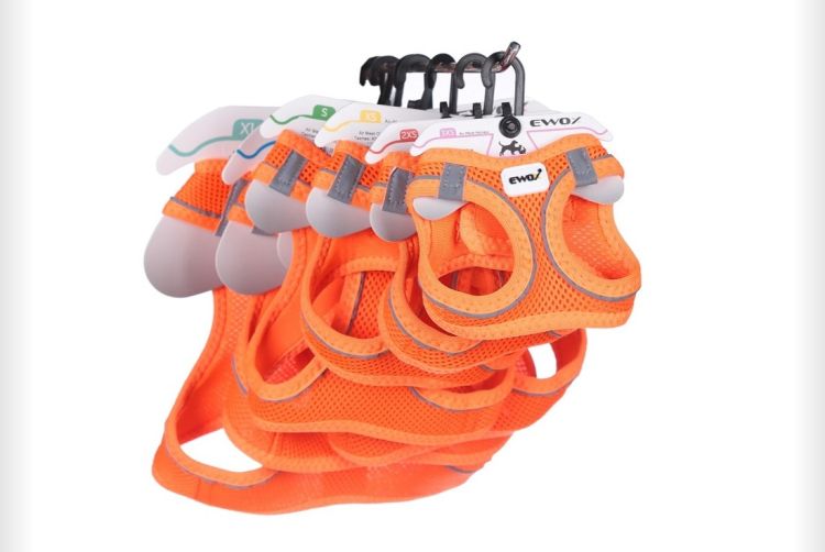 Ewox Air Mesh Göğüs Tasması Set Turuncu (3xs-Xl) - 1