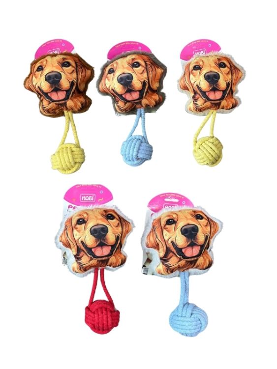 Hobi Pet Toys Golden Figürlü Zilli Kedi & Köpek Oyuncağı RD1060 - 1