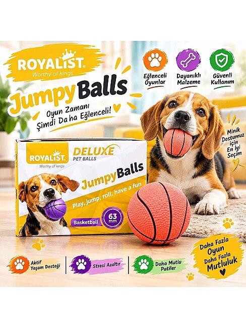 Royalist Zıplayan Oyuncak Sert Top 6.3 cm (02221)