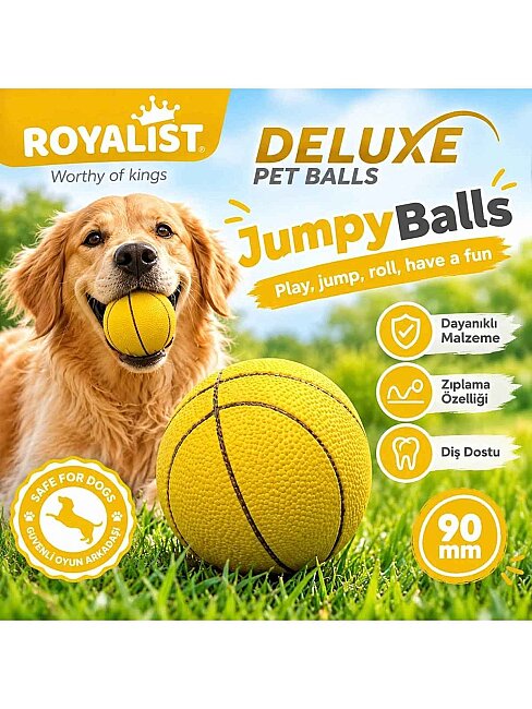 Royalist Zıplayan Oyuncak Sert Top 9 cm (02219)