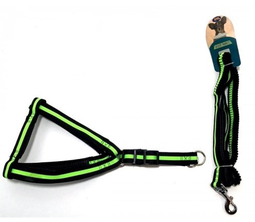 Yıldırım Pet Lastikli Takım Tasma Yk-527 Small